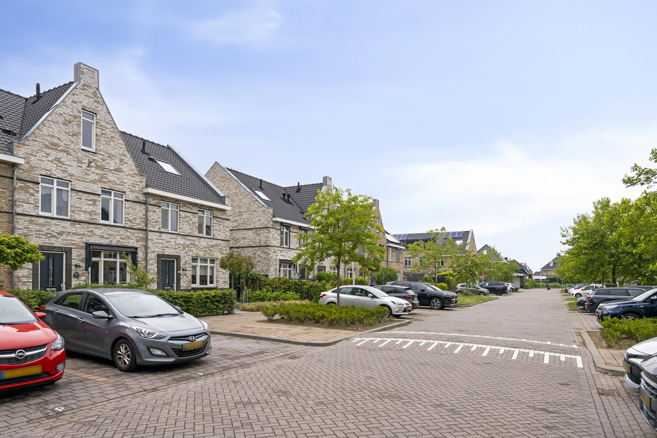 Aalscholver 18