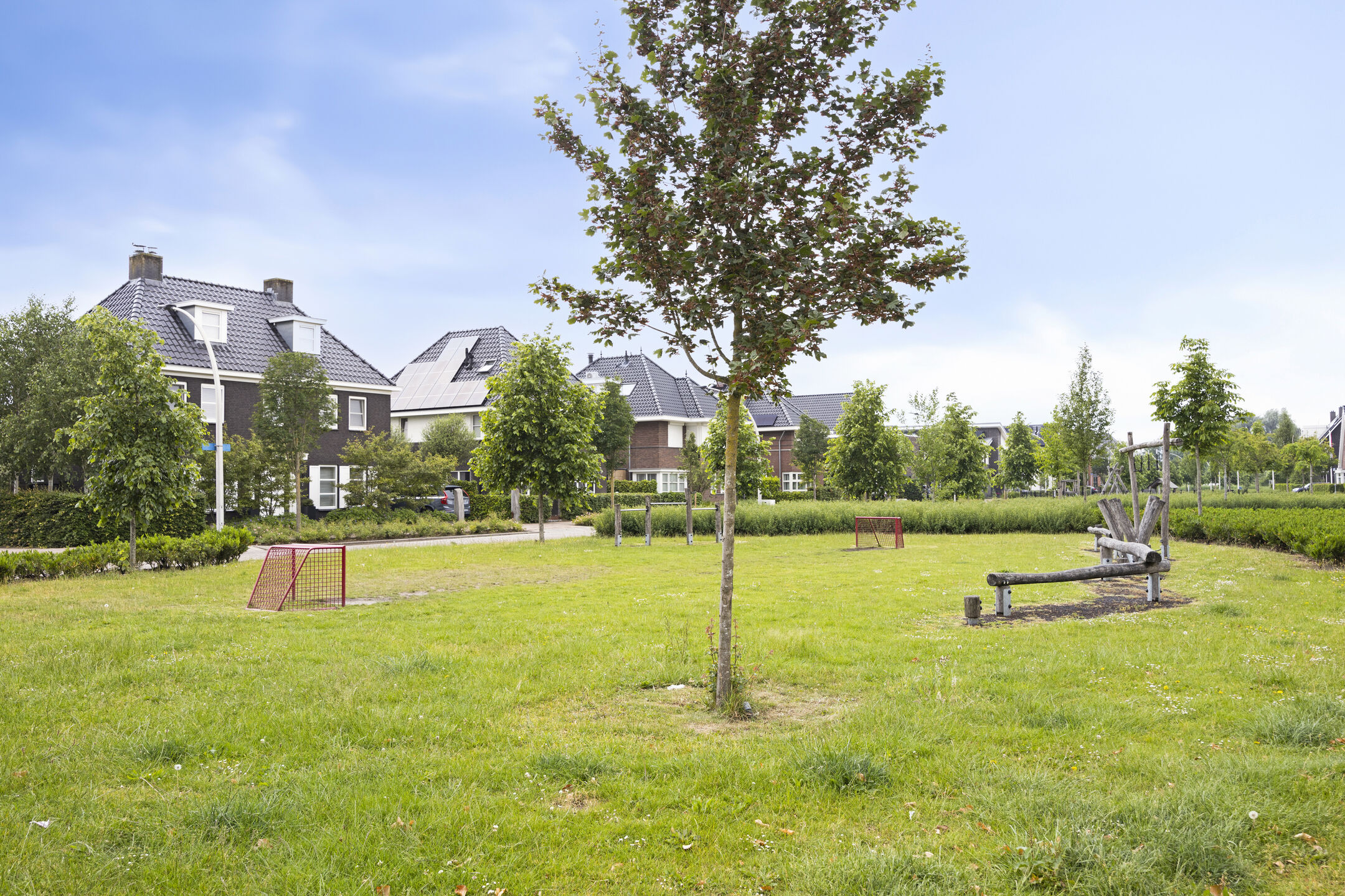 Aalscholver 18