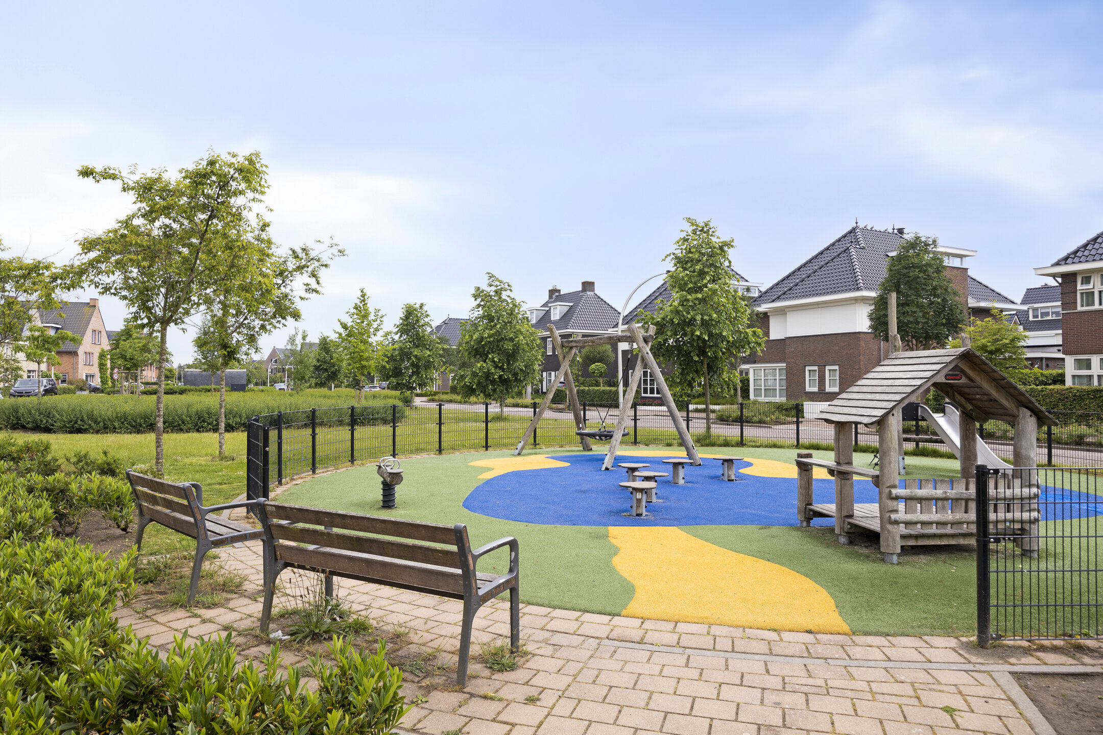 Aalscholver 18