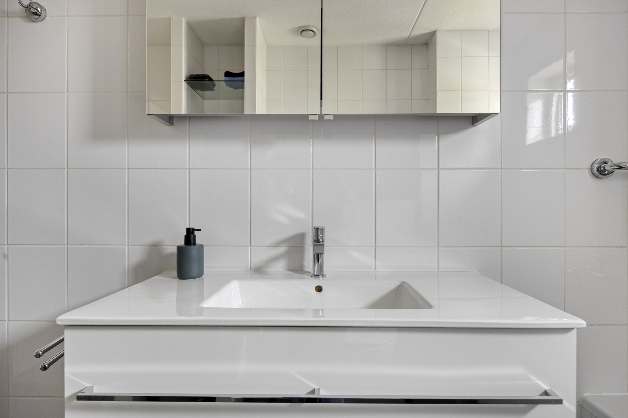 Watermunt 33