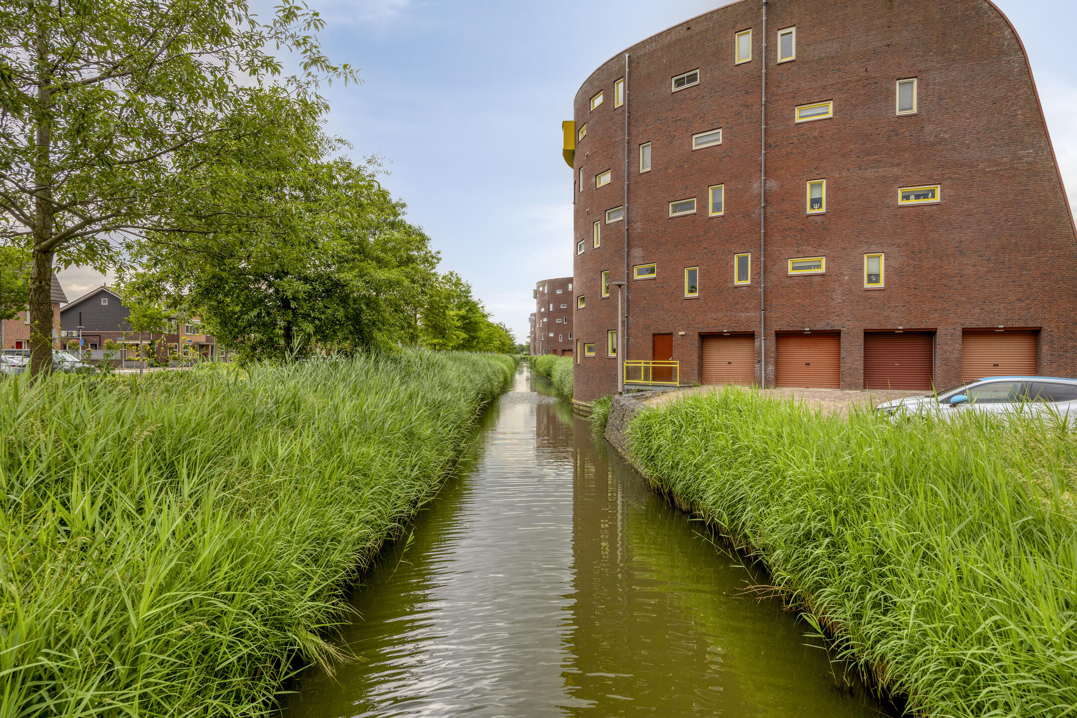 Watermunt 33