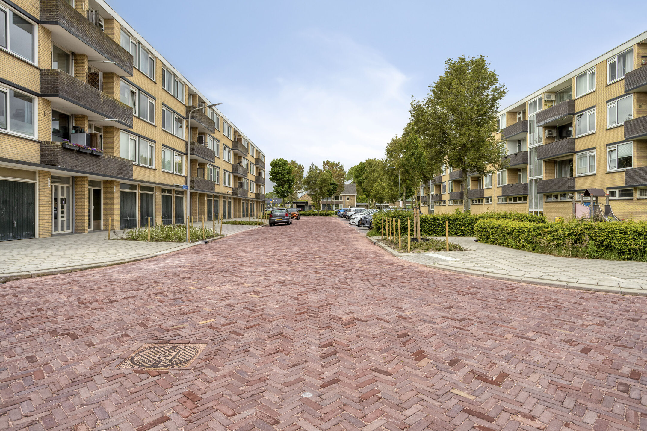 Tulpstraat 4