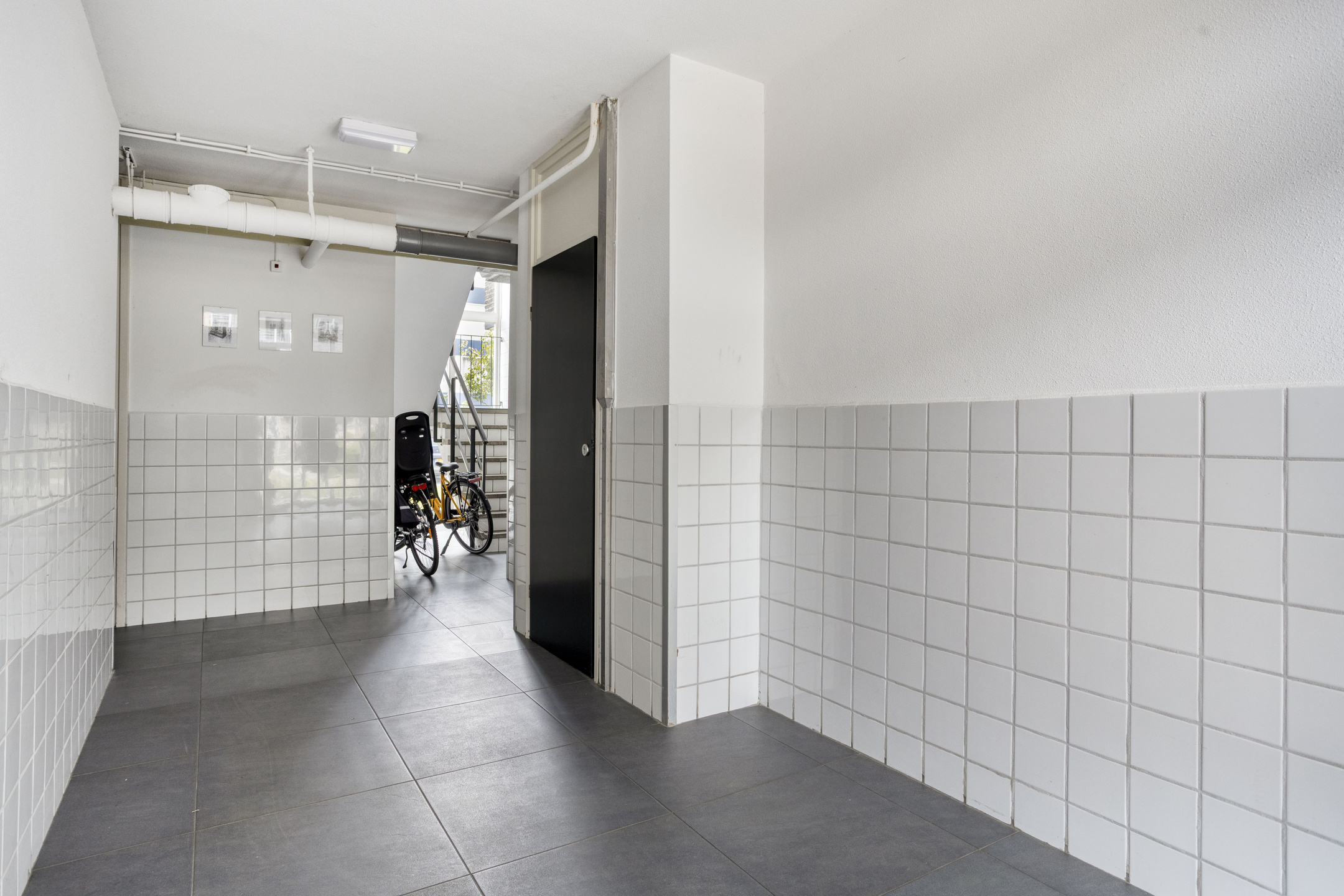 Tulpstraat 4