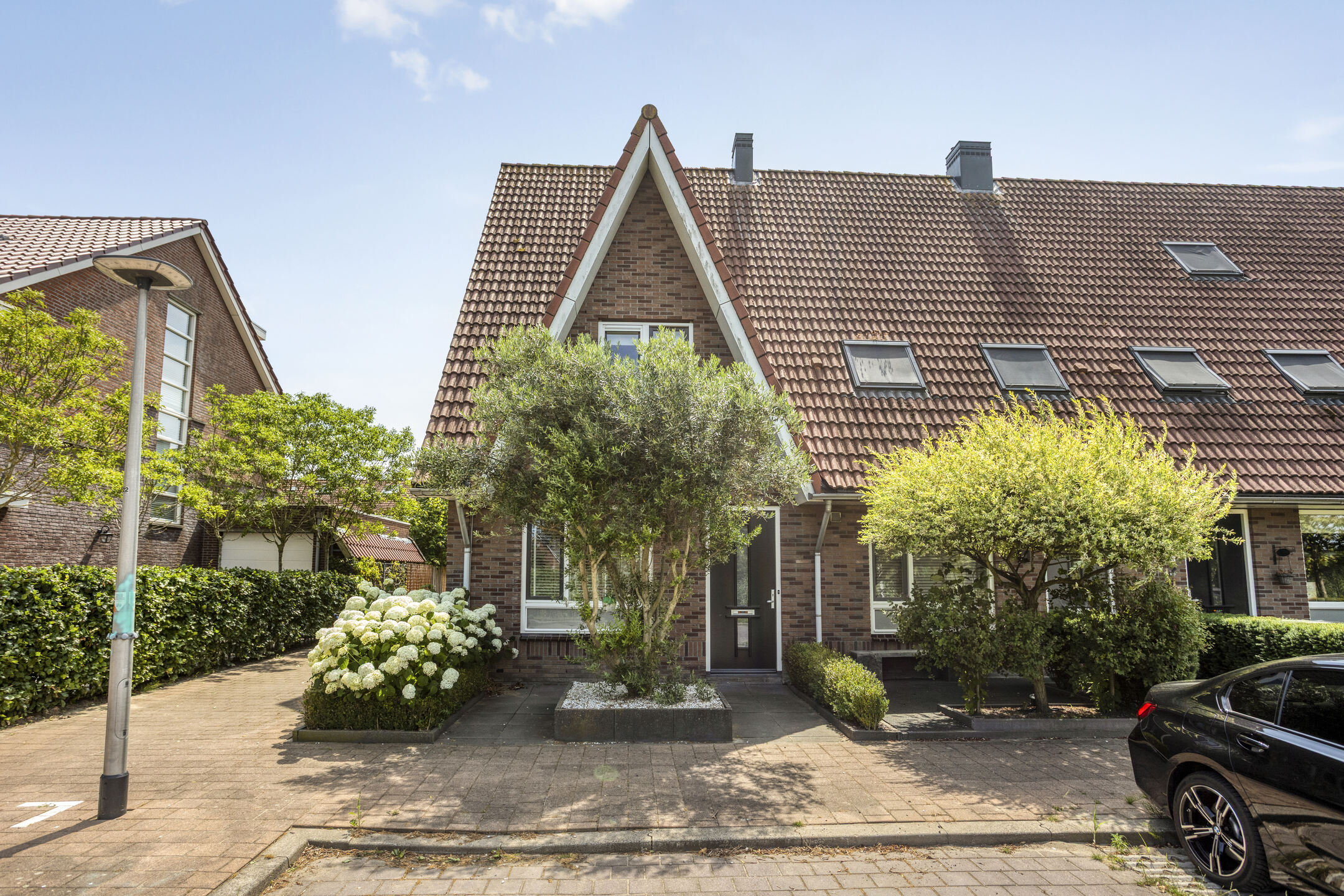 Hoogveen 58