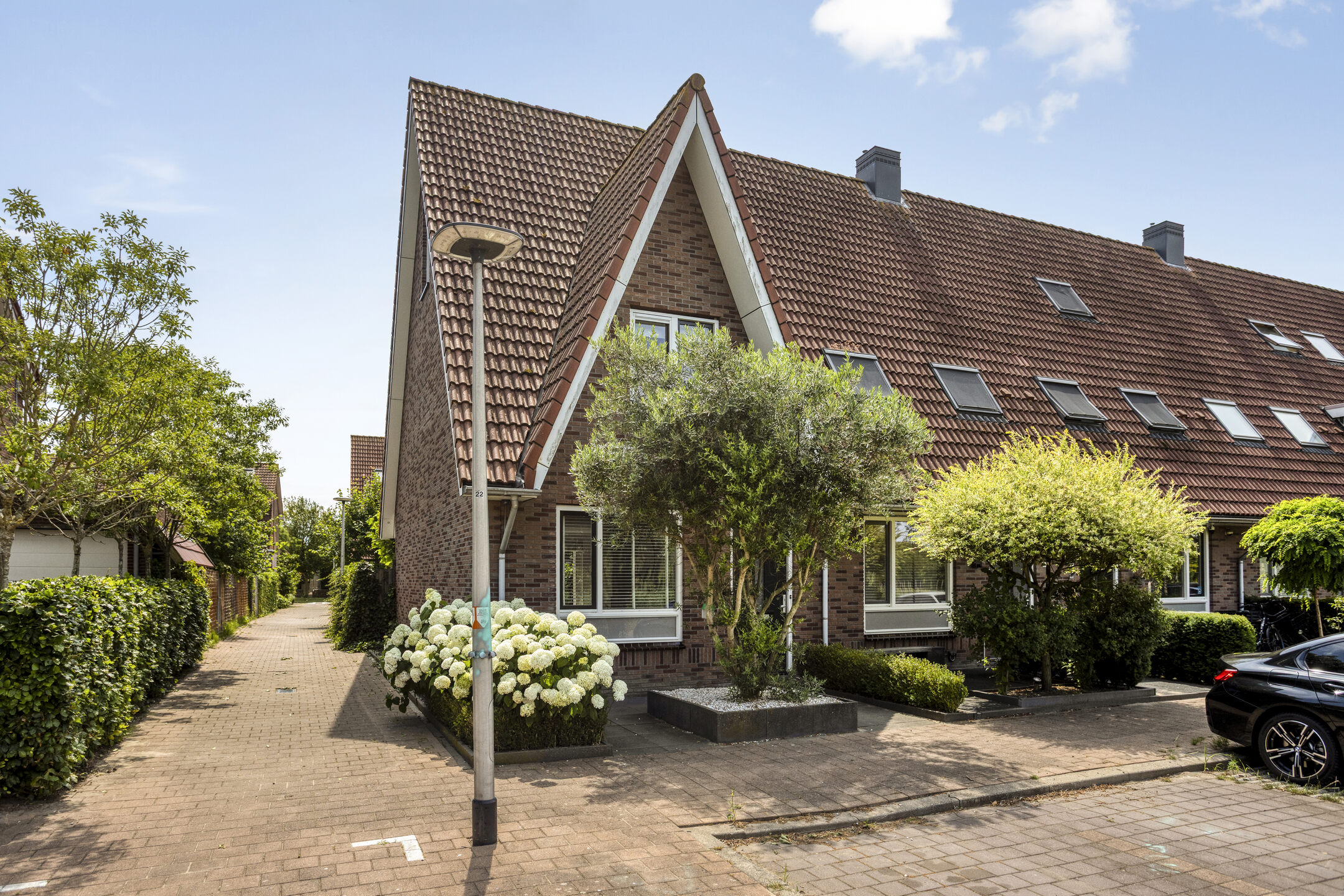 Hoogveen 58