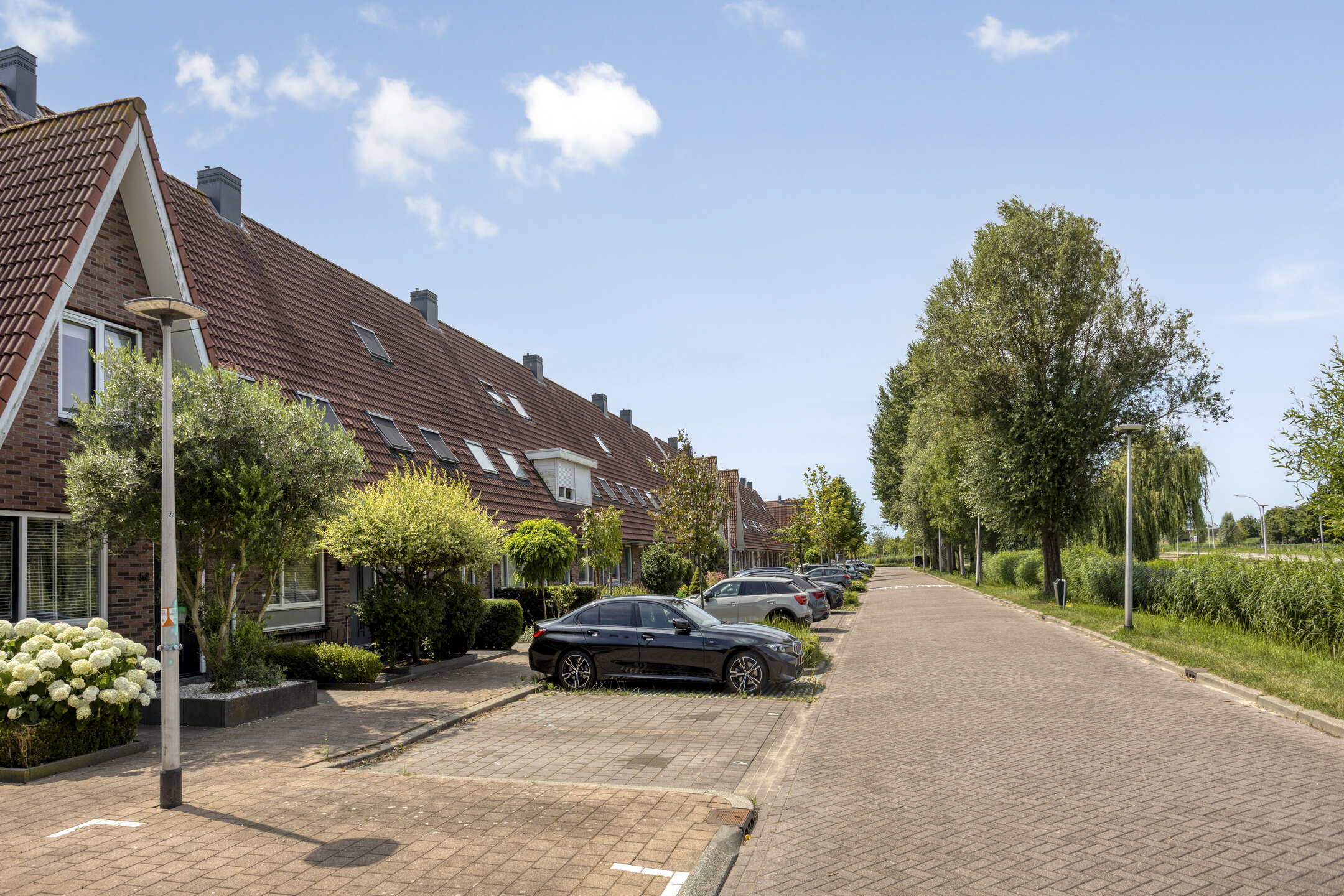 Hoogveen 58