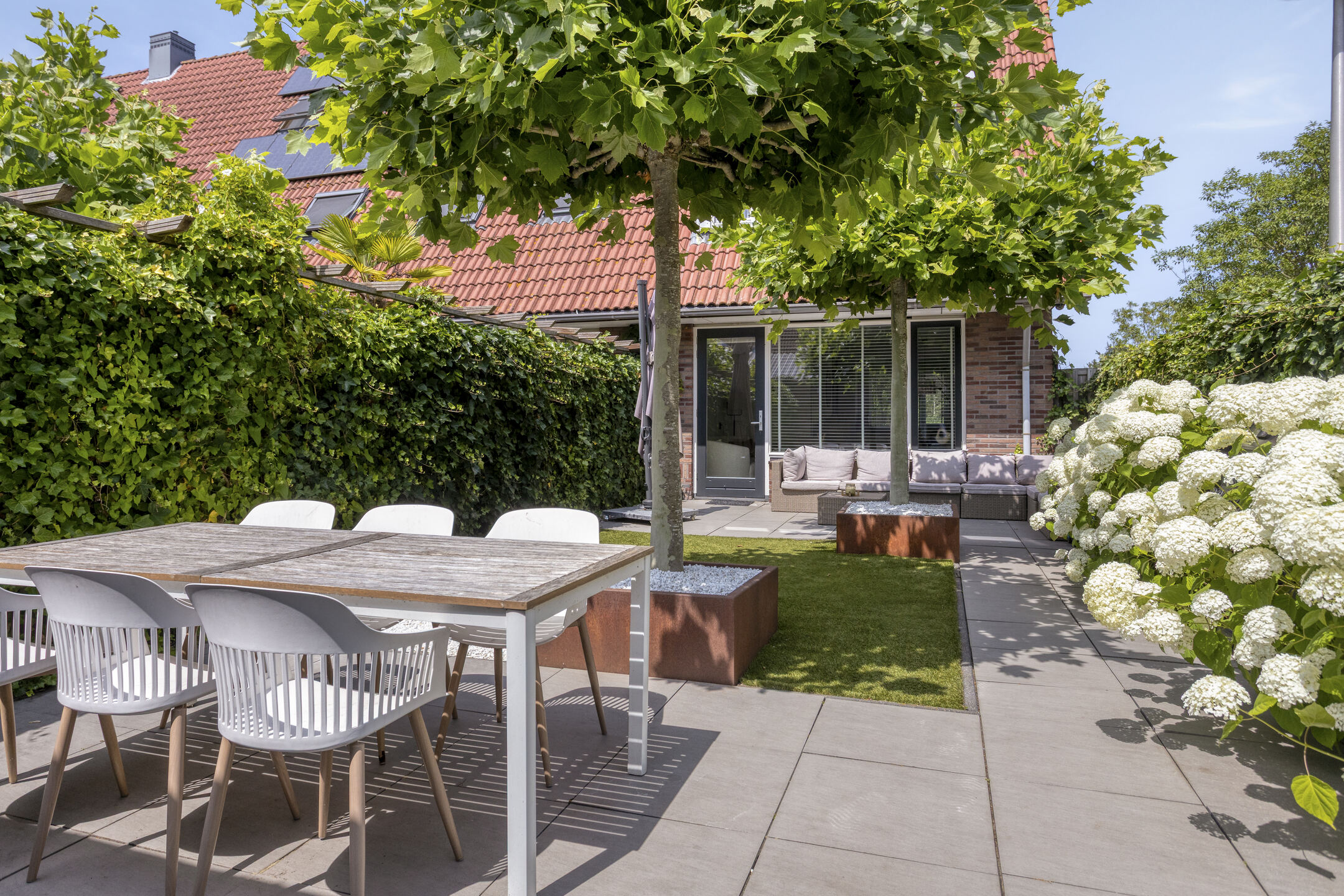 Hoogveen 58