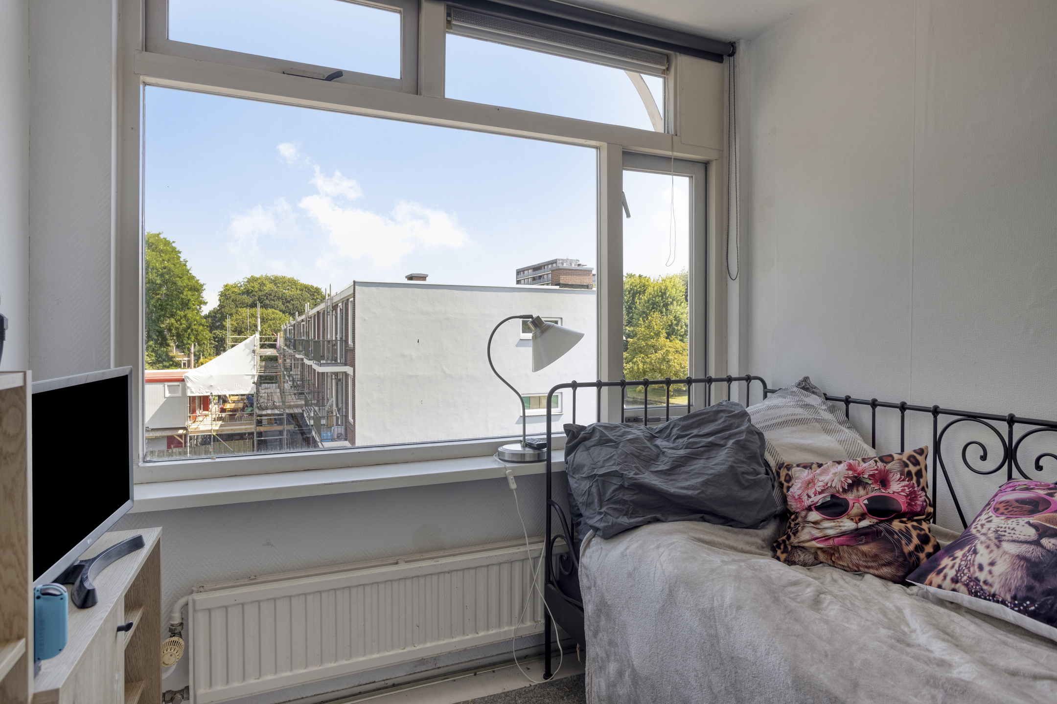 van Meelstraat 36