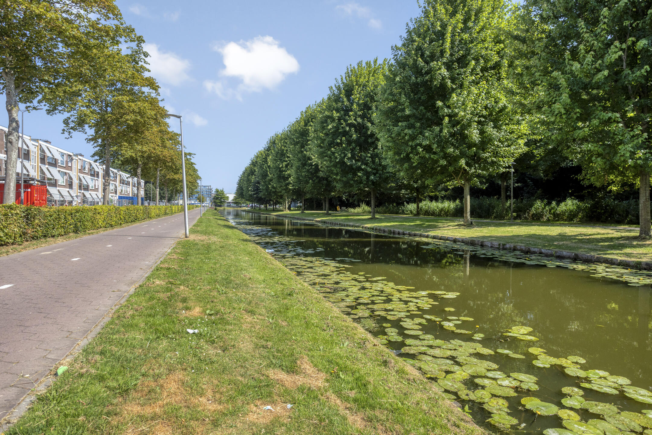 van Meelstraat 36