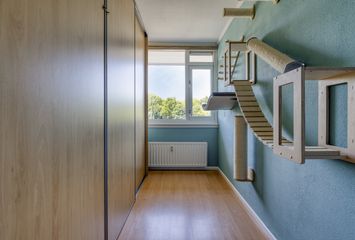 Anjerstraat 164, ZWIJNDRECHT