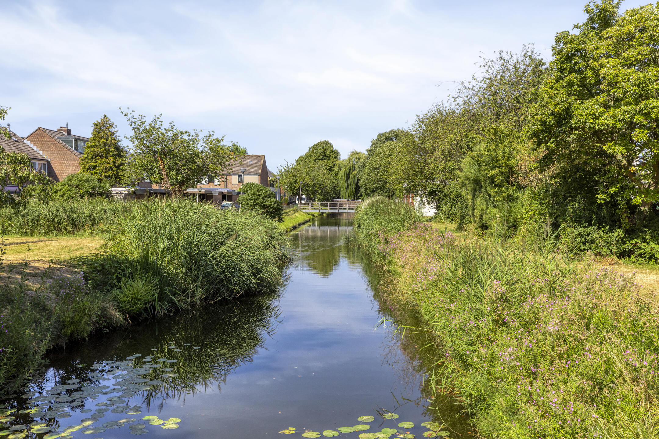 Waterland 17
