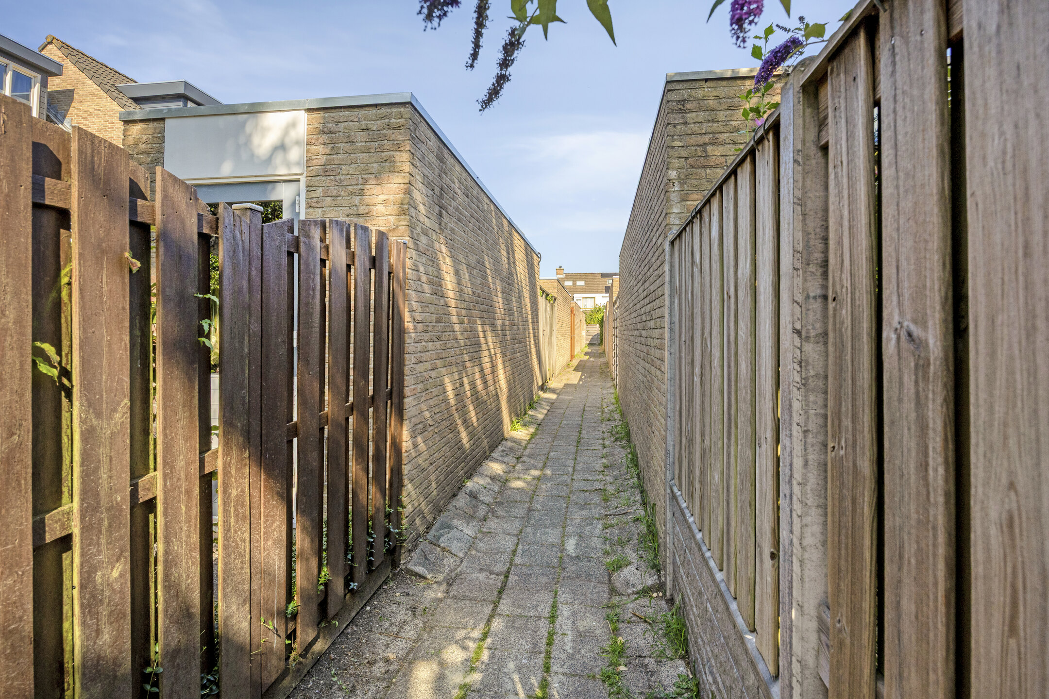 Aert Schoumanstraat 13