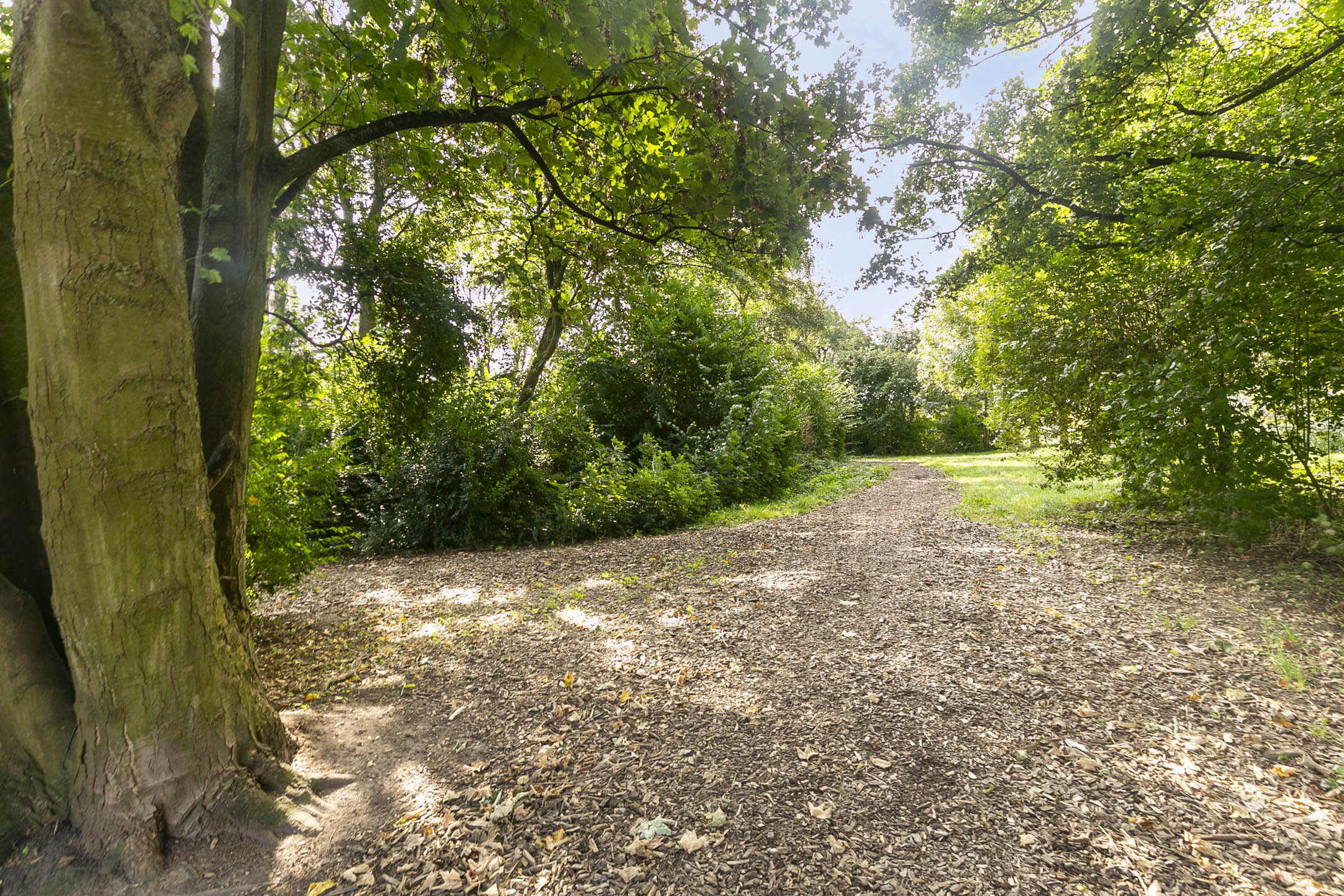 Roestuin 23
