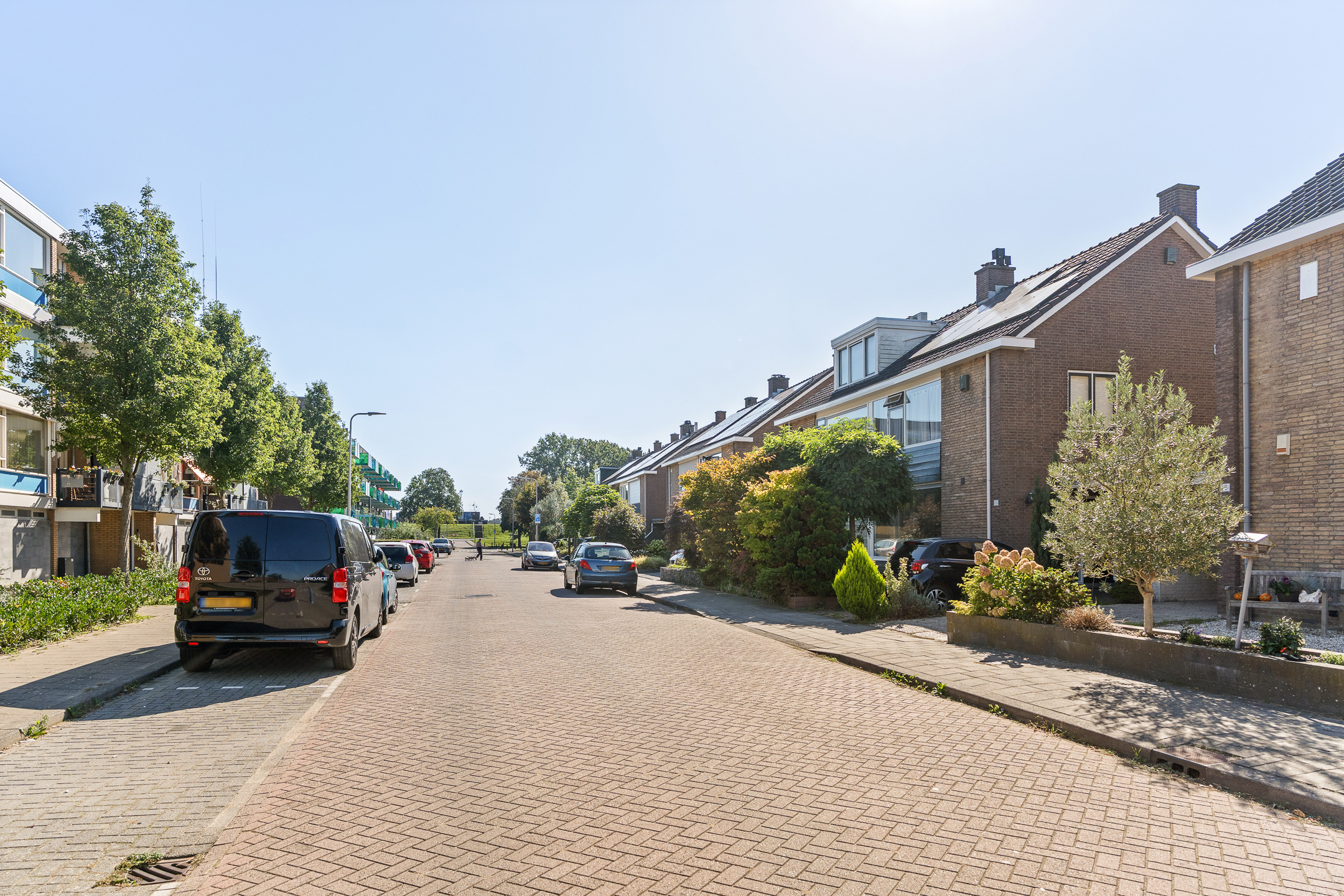 Uilenvliet 35