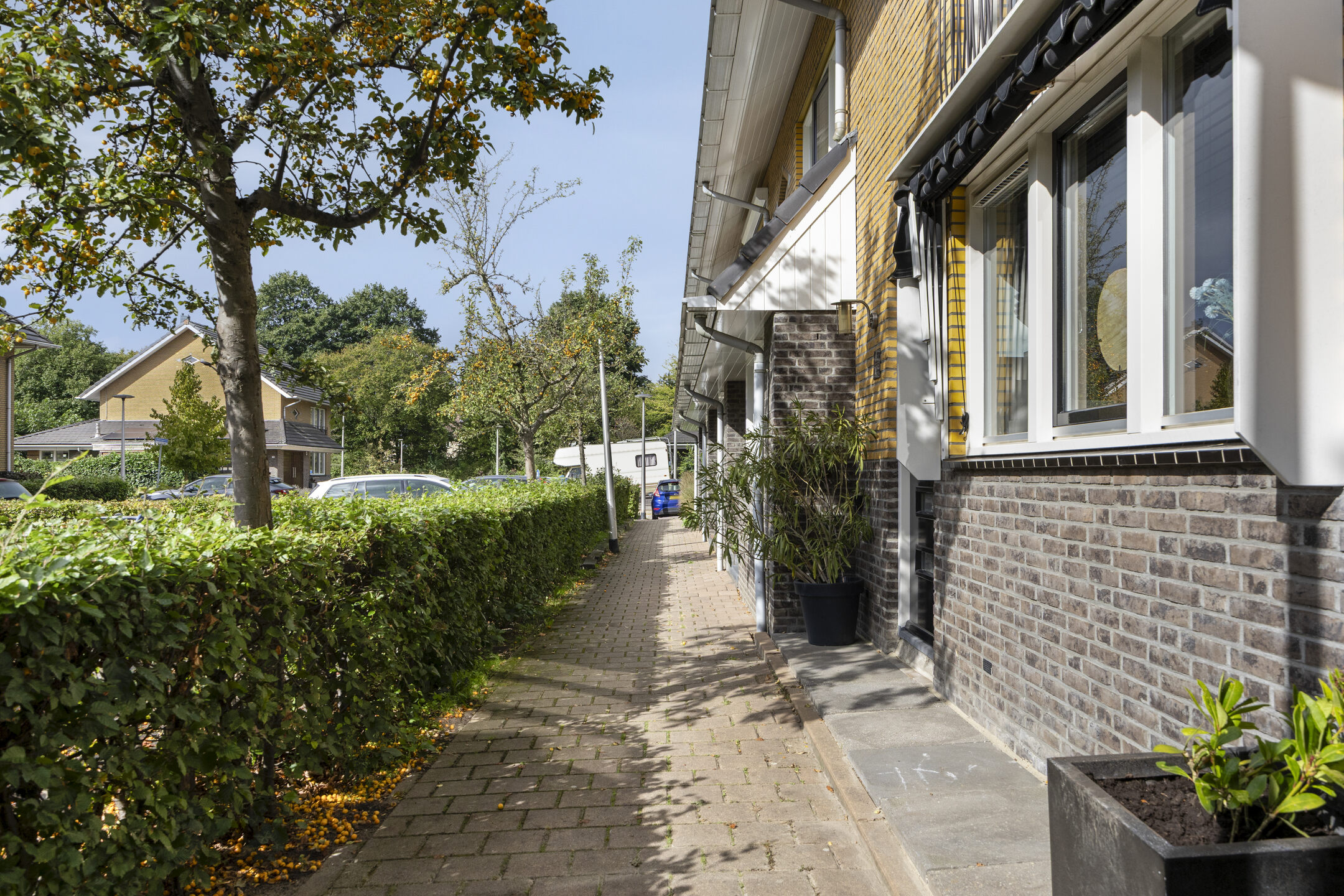 Dadelgaarde 125