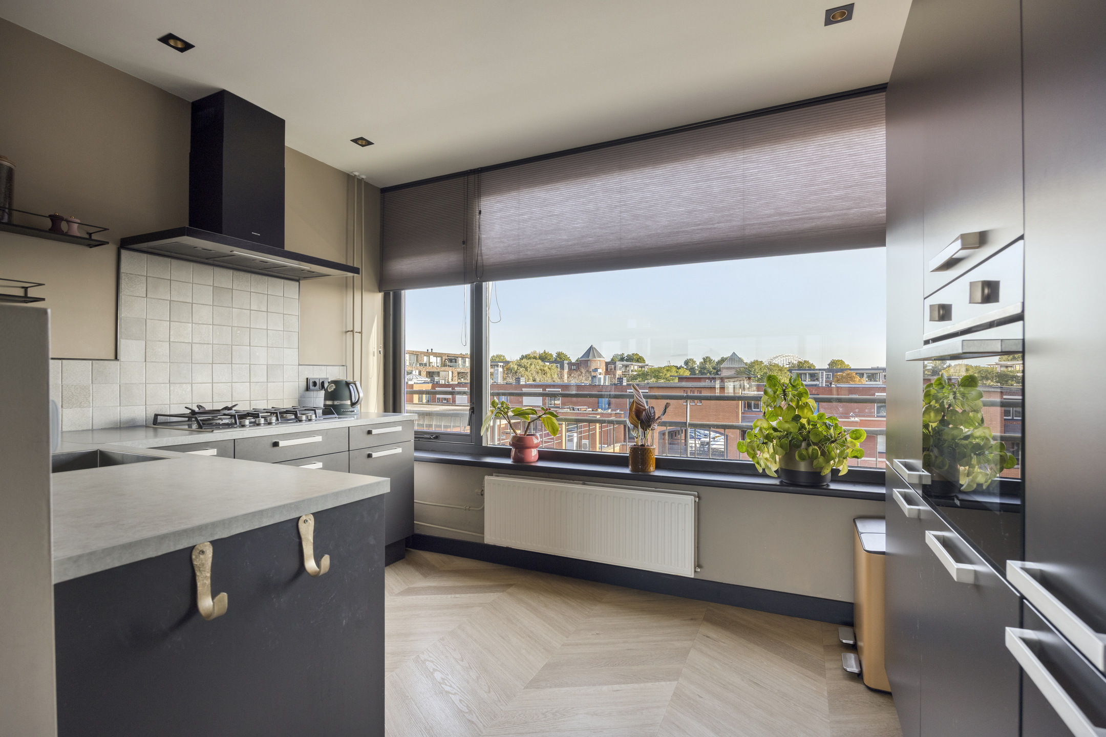 Willem de Zwijgerstraat 62