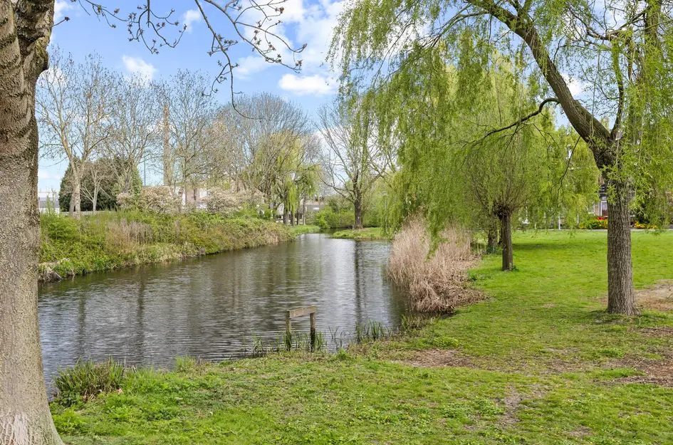 Esdoornlaan 24