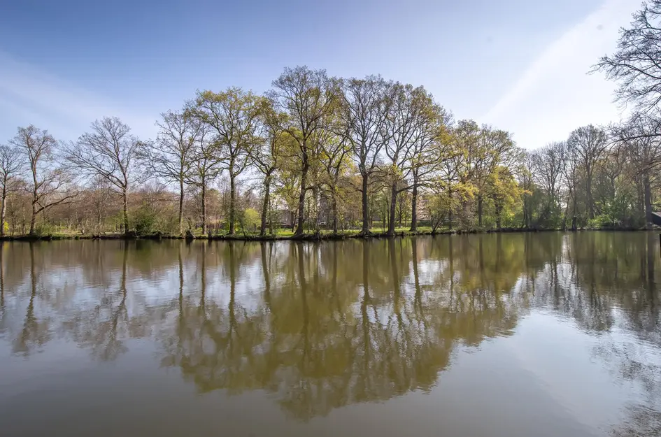 Oostsingel 14