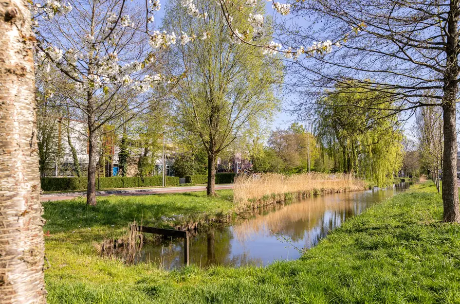 Jan Sluijtersstraat 26