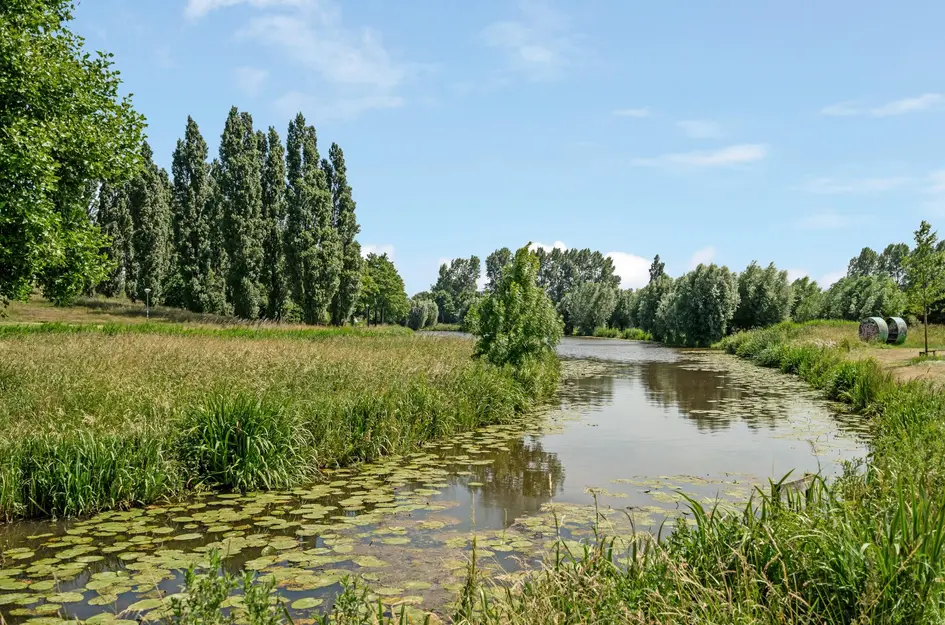 Parklaan 44