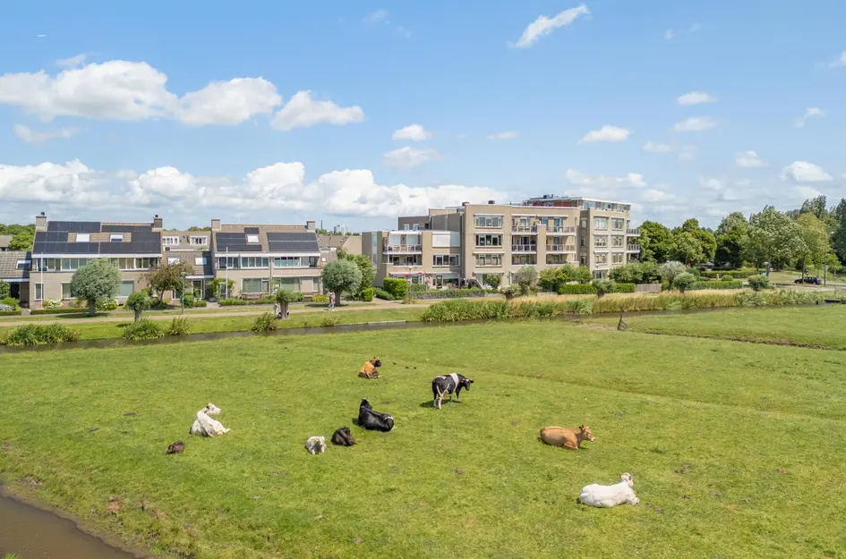 Parklaan 44