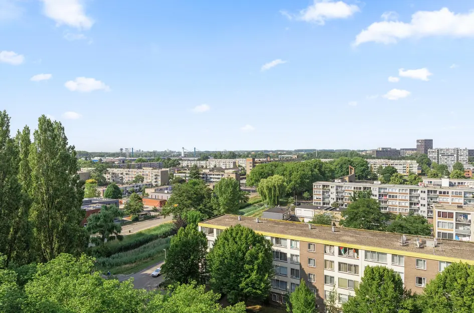 Livingstonelaan 926