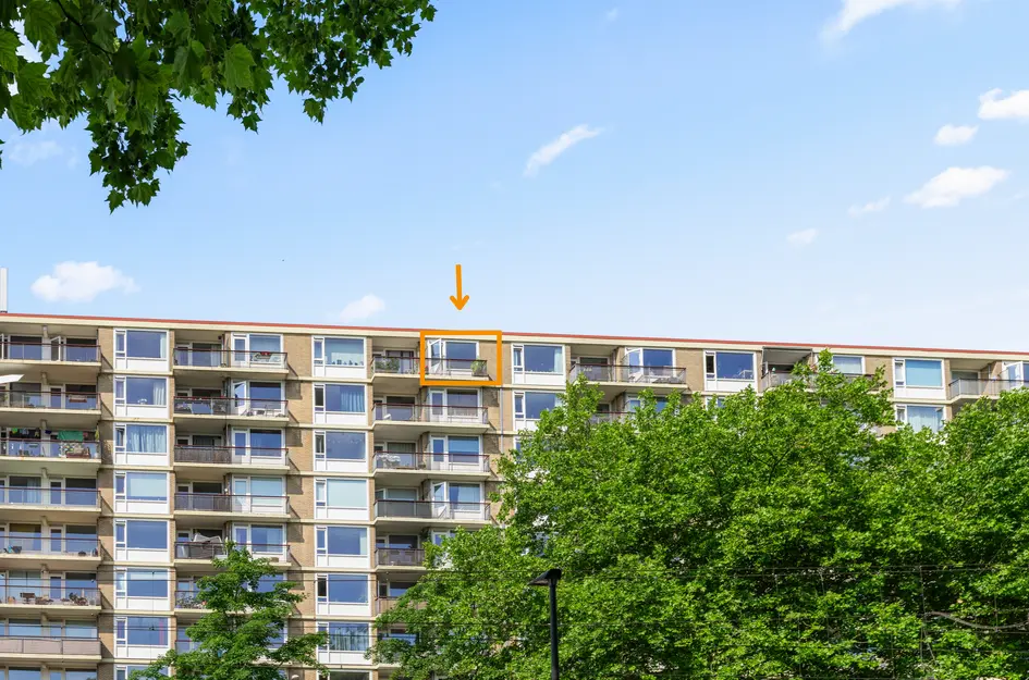 Livingstonelaan 926