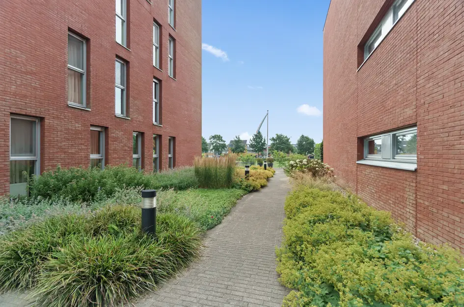 Ferdinand Bolstraat 13