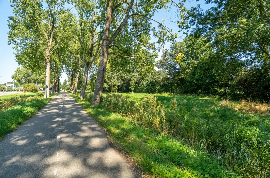 Stromenlaan 11