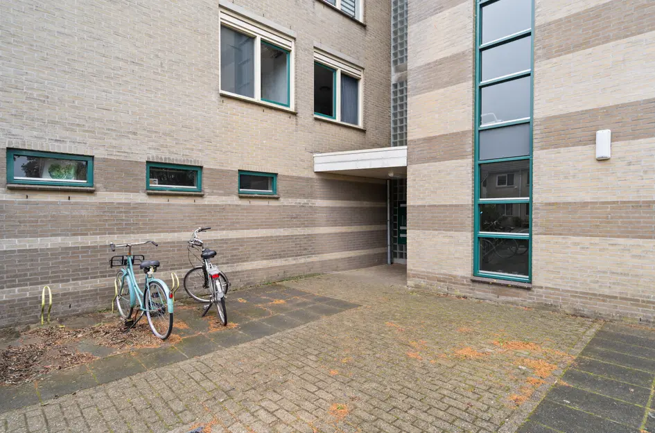 Sleper 14