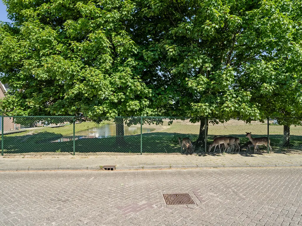 Jan van Beierenlaan 200, WOERDEN