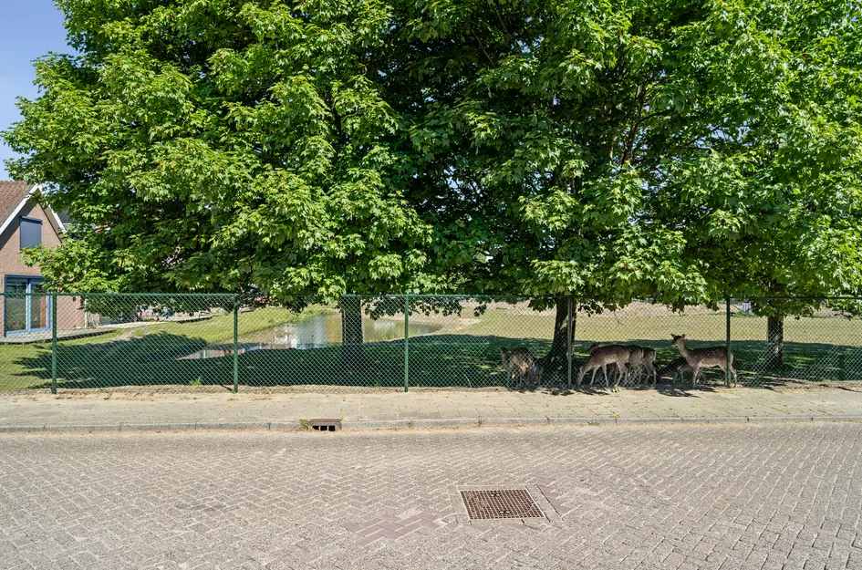 Jan van Beierenlaan 200