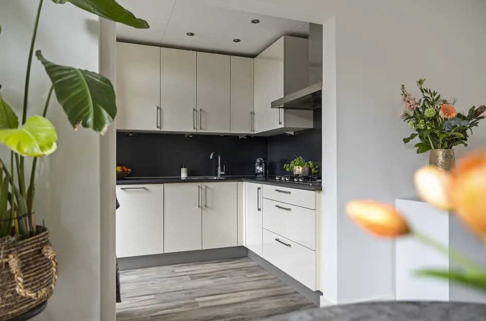 Nicolaas Maesstraat 25