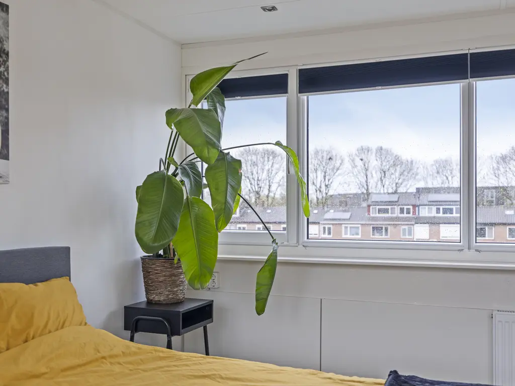 Nicolaas Maesstraat 25, WOERDEN