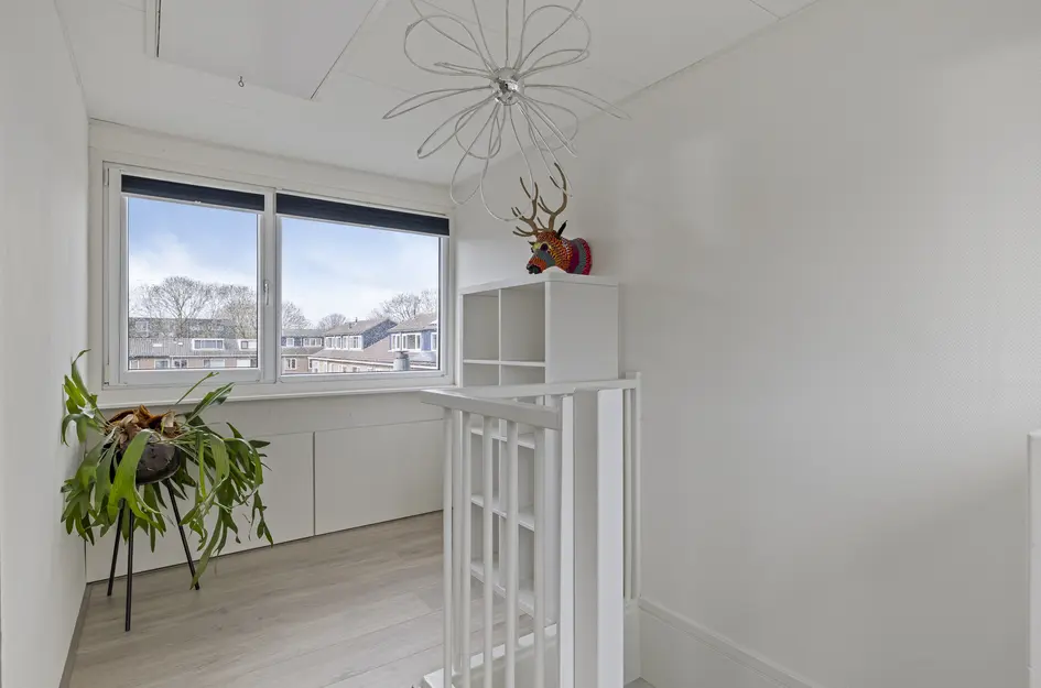 Nicolaas Maesstraat 25