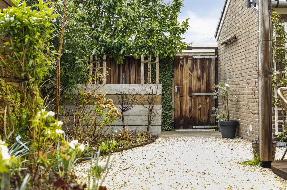 Nicolaas Maesstraat 25