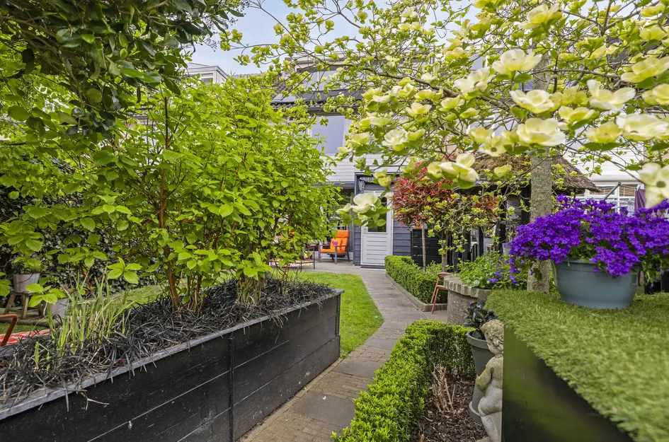 C. van Leeuwenstraat 9