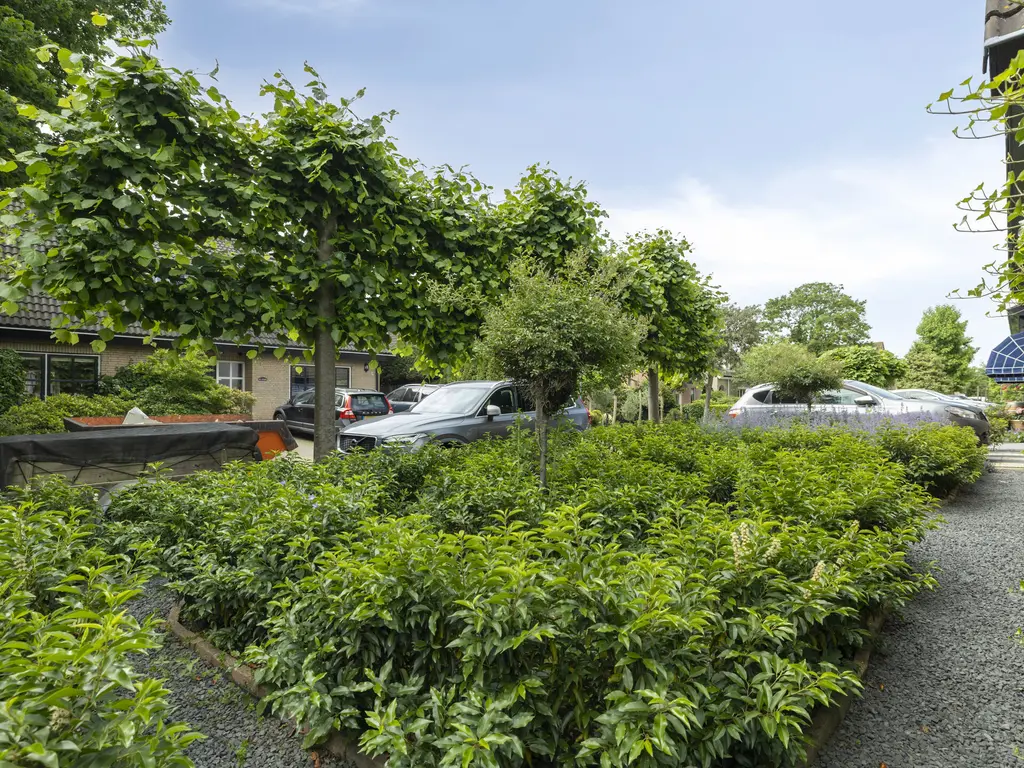 Schokker 7, WOERDEN