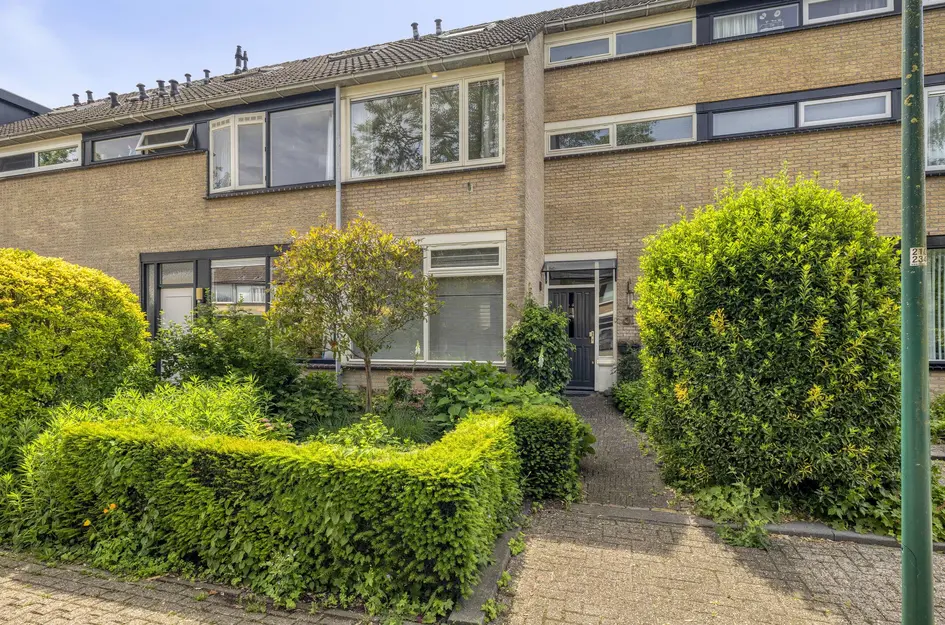 De Ness 31