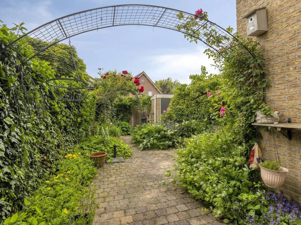 De Ness 31, LINSCHOTEN