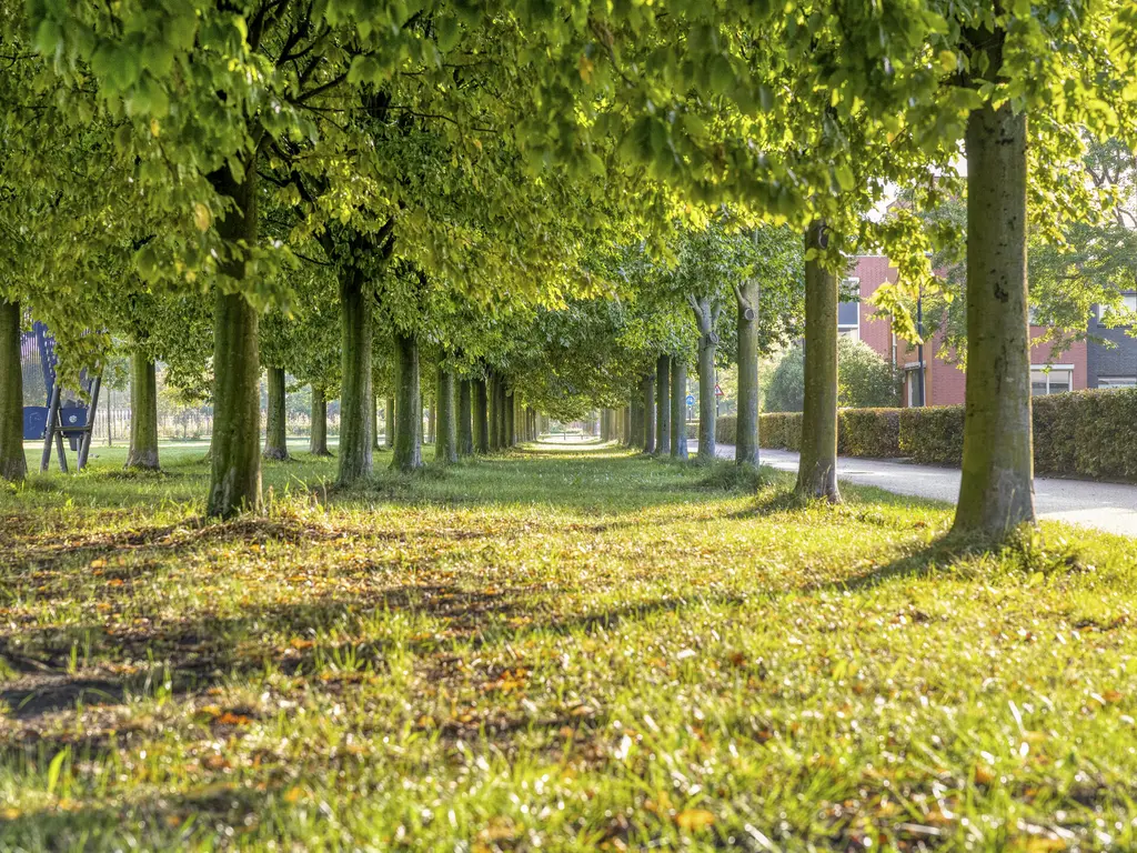 Schillingdreef 19, WOERDEN