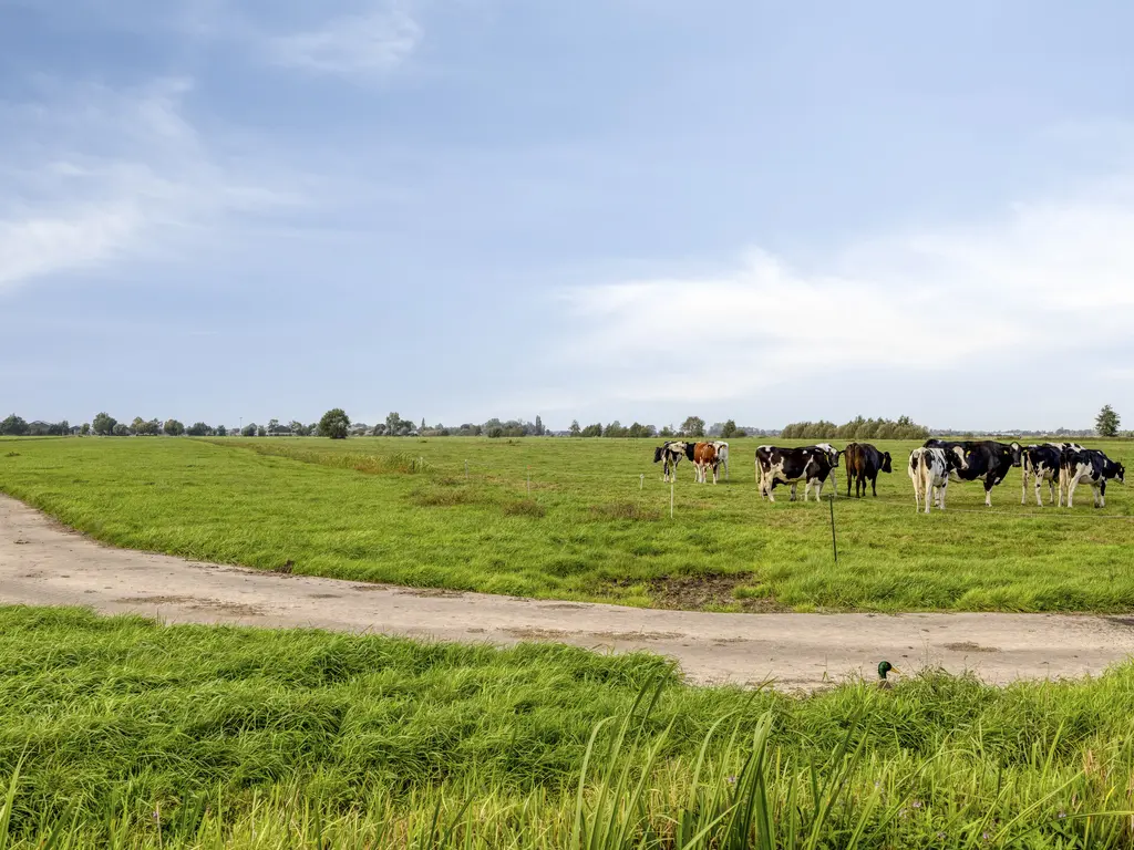 Populierenlaan 25, ZEGVELD