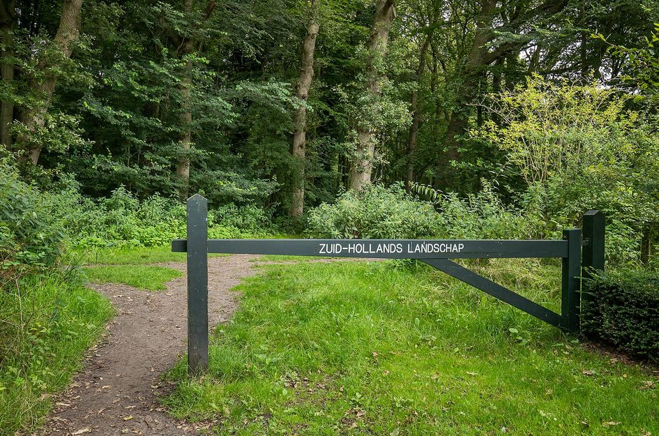 Molendijk 21