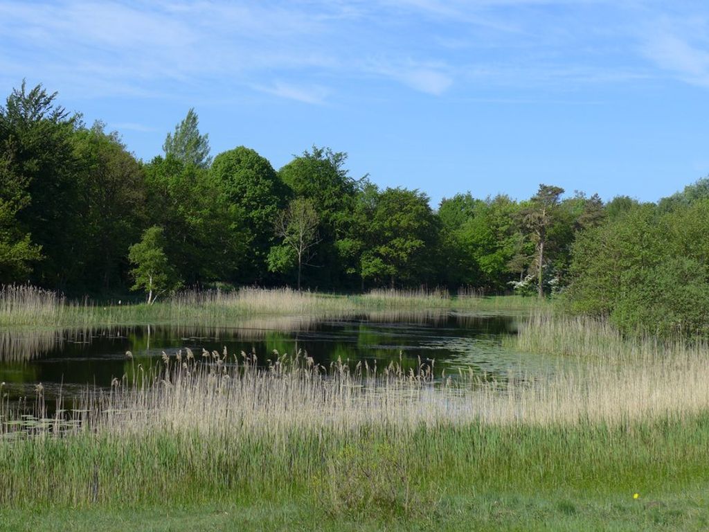 Lijsterbeslaan 10, OOSTVOORNE