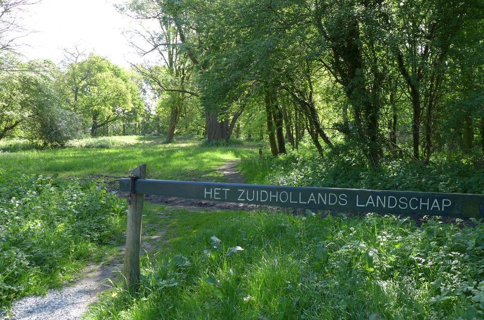 Lijsterbeslaan 10