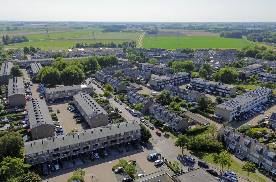 Schokker 16