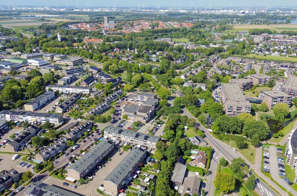 Schokker 16