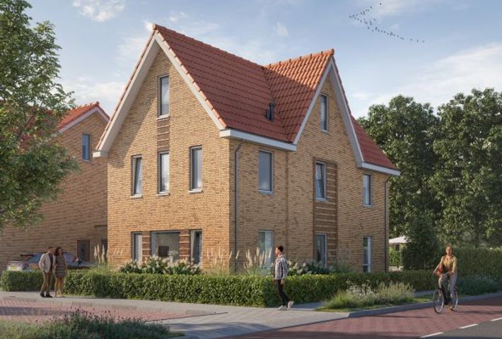 Hof der twee getuigen 51