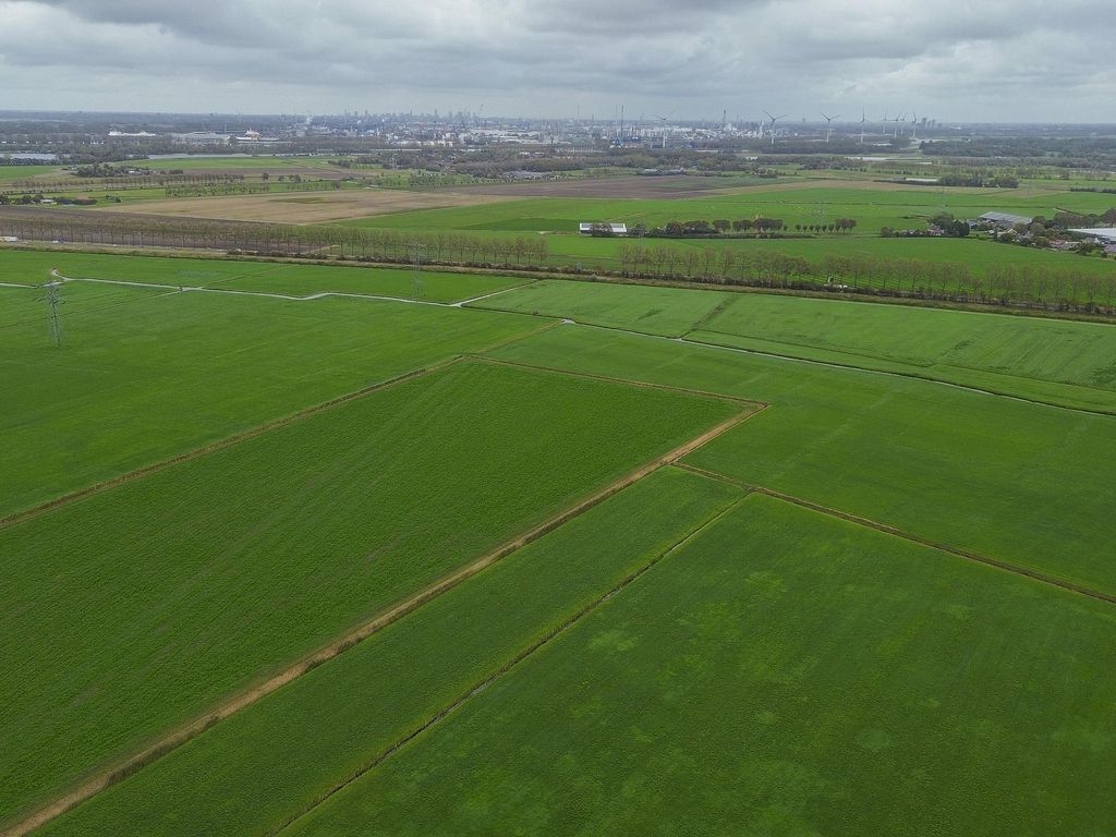 Veckdijk 10, VIERPOLDERS