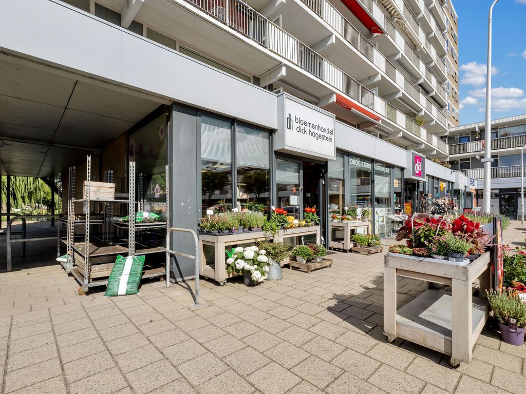 van der Fuyckstraat 63, Brielle